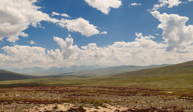 Vast rolling green plains of Deosai National Park with red ground flora and distant mountains, rugged tundra terrain and mountain peaks