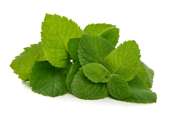 Fresh Green Mint Leaves Isolated on White Background © GSDesign