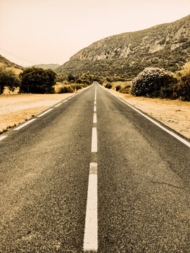 Empty rural road stretching toward rugged Mediterranean mountains at golden hour, flanked by shrubs and olive trees, evoking solitude, travel, freedom and sunlit summer landscape.