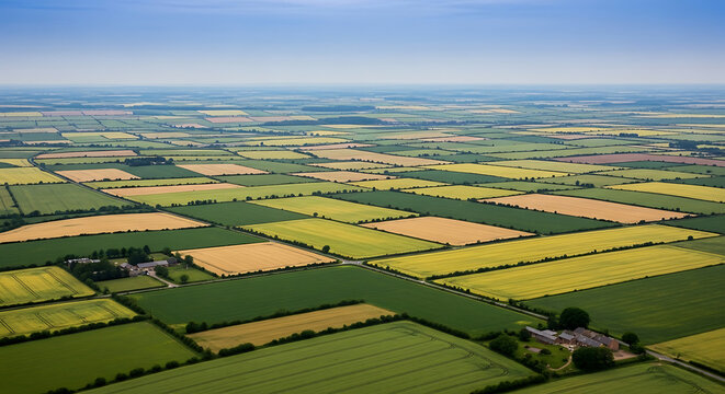 Panoramic Landscape of Patchwork Agricultural Fields from Elevated View