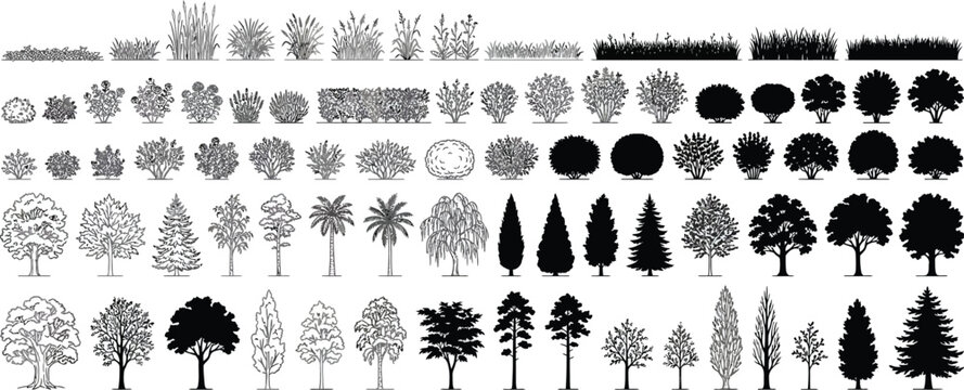 CAD architectural drawings isolated on transparent background with vector trees, shrubs, and bushes for landscape design plans