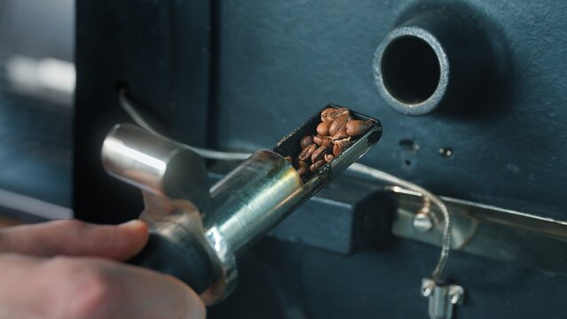 Unrecognizable male worker hand pushing lever on coffee roasting machine at factory opening chute releasing beans mixing grains during production process business caffeine beverage food preparation