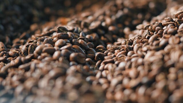 Roasted coffee beans blending inside automatic metal drum roaster at production facility close up industrial mixer stirring grains during roasting process food manufacturing aromatic caffeine drink