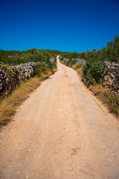 Dirt road winding through olive trees and stone walls under a clear blue sky in a rural landscape next to Gornje Selo, Croatia