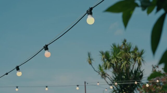 Strings of round bulb lights hang across a blue evening sky above palm trees and shrubs at an outdoor party venue.