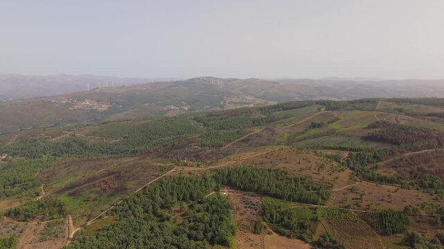 Drone view over pine forest, scrub and burned patches on the upland plateau near Salto, Montalegre, with wind turbines and a village on the far ridge.