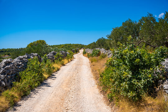 Dirt road winding through olive trees and stone walls under a clear blue sky in a rural landscape next to Gornje Selo, Croatia