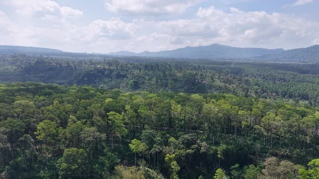 Aerial view of dense green forest valleys. Clouds drift above distant mountain ranges at Pronojiwo, Lumajang