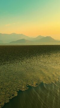 beautiful landscape of Lake Skadar on Balkan Peninsula, spanning Montenegro, Albania. green plants leaves specifically water caltrop, Trapa natans, float cover water surface. sunset sky mountains