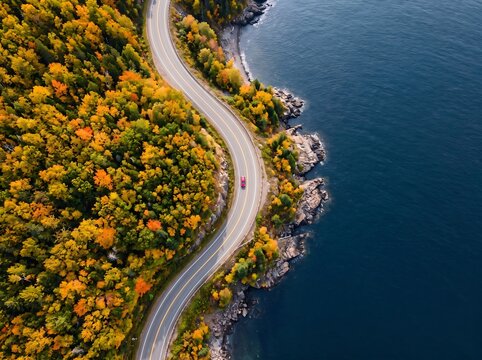Scenic Autumn Road Trip: Aerial View of Winding Coastal Highway with Fall Foliage and Blue Ocean, Perfect for Travel and Adventure Concepts