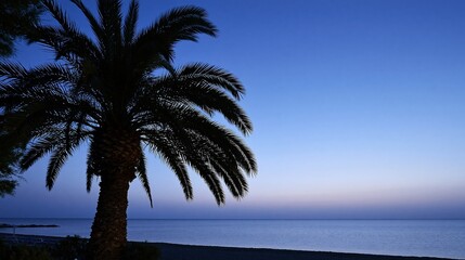 Naklejka premium Silhouette of palm tree against blue sea and
