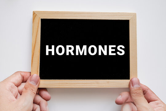 Hands holding black chalkboard with Hormones text on white background, endocrinology and medical healthcare concept