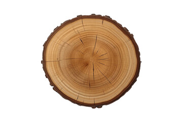 Fototapeta premium Detailed rustic circular log slice graphic element