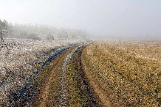 A winding dirt road leads through a frosty field covered in morning mist and winter vegetation