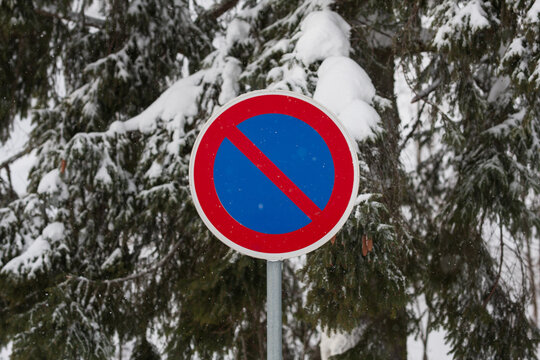 No parking traffic sign standing in front of snow covered pine trees during a winter day