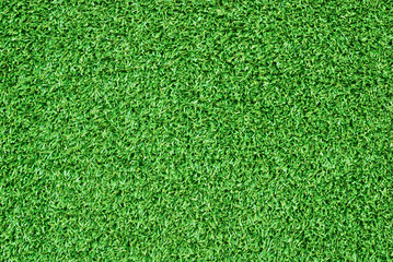 Obraz premium Lush green grass texture closeup. Dense fresh lawn surface, vibrant natural turf background for design.