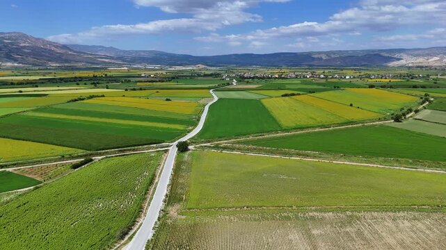 Sunflower Fields and Rural Farmland Landscape