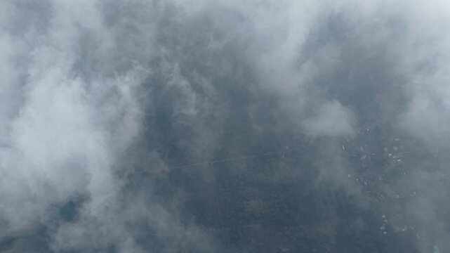 Misty ground view revealing tea plantation partially obscured by low clouds above Wonosari.