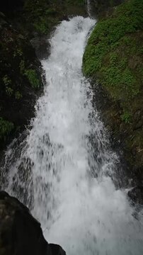 waterfall in the forest