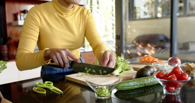 Lifestyle videos Indoor of people doing activities at home, Chopping vegetables, woman in modern kit