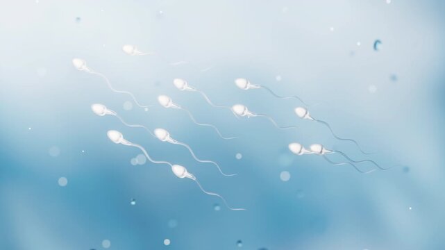 Human sperm cells with fertility concept, 3d rendering.