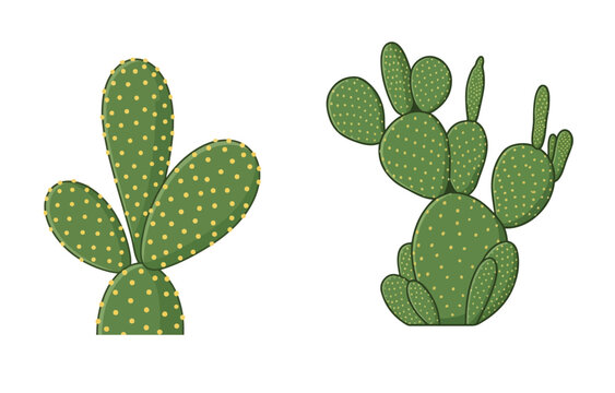 Green Prickly Pear Cactus Set Opuntia Succulent Desert Plant Botanical Vector Illustration Isolated on White Background