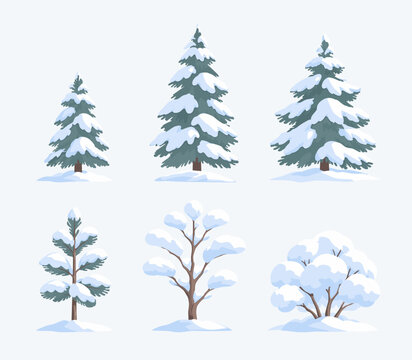 Snow Covered Trees and Winter Shrubs Collection
