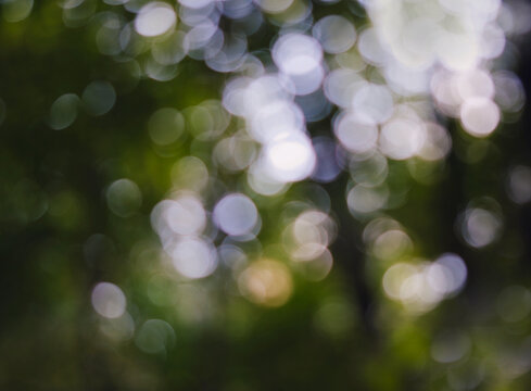 Unscharfe verschwommene helle Bokeh Lichtkreise vor &Auml;ste der B&auml;ume