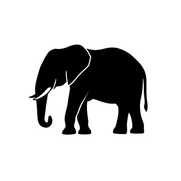 elephant vector illustration