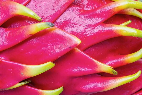 Macro Close Up of Vibrant Red Dragon Fruit Pitaya Bract Scales Texture