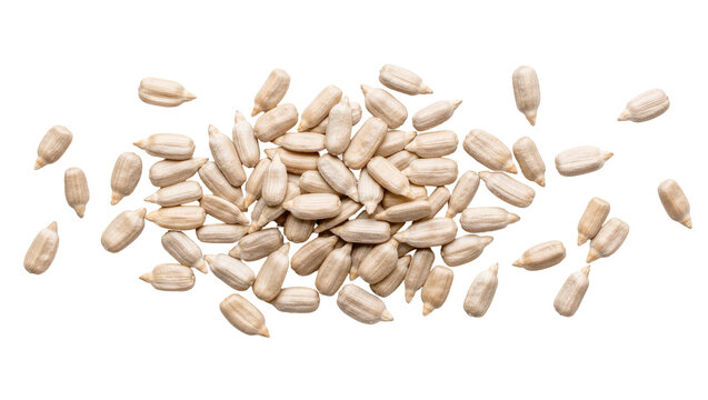 Pile of shelled sunflower seeds, isolated on transparent background