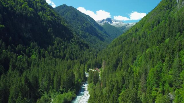 Drone river forest stones stream aerial shot flying forward over a wild alpine river bed with clear water and pine trees casting shadows. Bird's eye view of natural wilderness landscape.