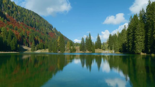 Alpine lake mirror reflection forest with green pines and autumn colors under a blue sky with clouds. Scenic symmetric mountain wilderness landscape, static handheld shot.