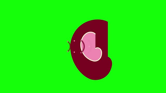 Human Ear Animation Icon Isolated on Green Screen