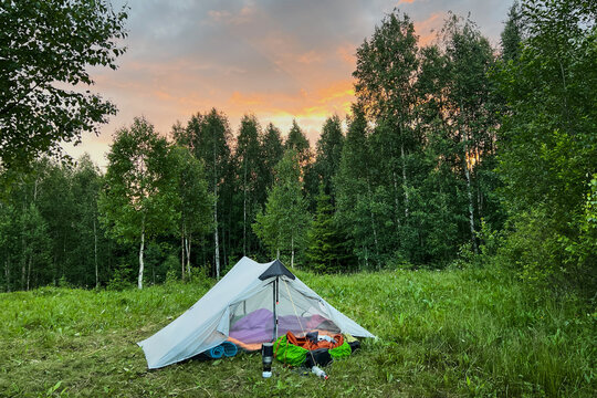 White tourist tent with camping gear in grassy clearing against backdrop of dense trees