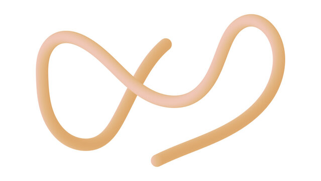 Abstract 3D worm shape with soft peach gradient, flexible organic tube element, curved fluid line vector for modern graphic design