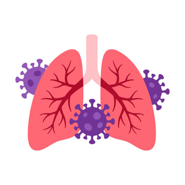 Human lungs infected with purple virus cells representing respiratory illness and lung disease Vector