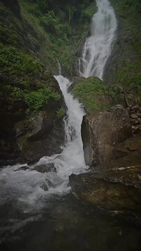 Scenic video of Asalay Falls cascading through lush tea gardens and dense green forest in Mirik, Darjeeling, North Bengal.