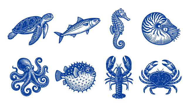 Collection of vintage hand drawn sea animals including turtle fish seahorse octopus lobster crab and nautilus shell