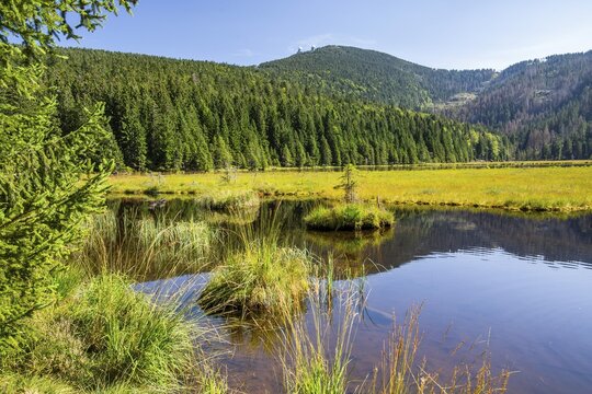 Nature reserve Kleiner Arbersee with floating islands and Gro&szlig;er Arber 1456m, Lohberg, Karsee, Bavarian Forest, Upper Palatinate, Bavaria, Germany
