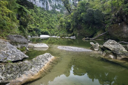 Pororari River, Pororari River Track, Punakaiki, Paparoa National Park, West Coast, South Island, New Zealand