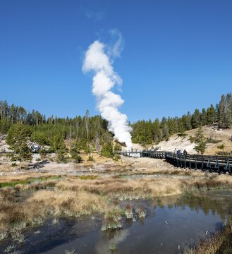 Mud Volcano, steaming thermal spring in the back, Dragon's Mouth Spring, Yellowstone National Park, Wyoming, USA