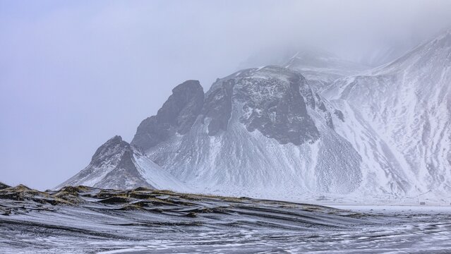 Black sand dunes with reed remains, behind them snowy rocky slopes of Klifantindur, near Vestrahorn, near H&ouml;fn, Sudausturland, Iceland