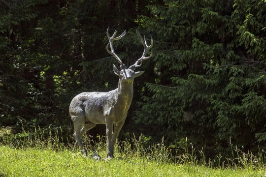 Metal deer standing in a meadow, Hinterstein, Bad Hindelang, Oberallg&auml;u, Allg&auml;u, Bavaria, Germany
