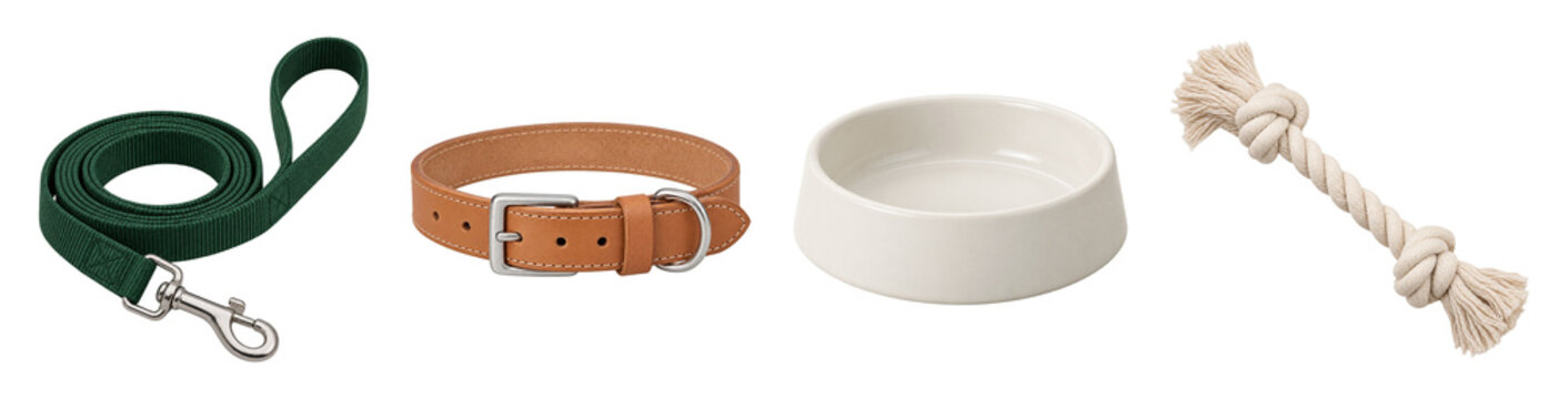 Dog accessories with leash collar bowl and rope toy