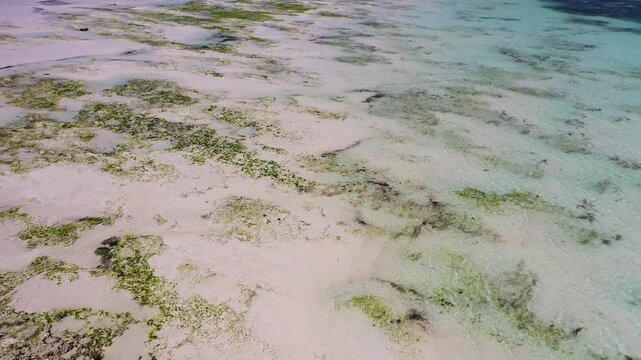 Top down aerial view of Zanzibar tidal flats