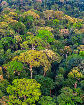 Aerial sunset over colorful tropical forests around Tad Sieng Leu Waterfall in Hin Nam No National Park, Boualapha District, Khammouane Province, Laos.