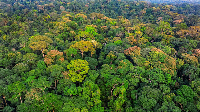 Aerial sunset over colorful tropical forests around Tad Sieng Leu Waterfall in Hin Nam No National Park, Boualapha District, Khammouane Province, Laos.