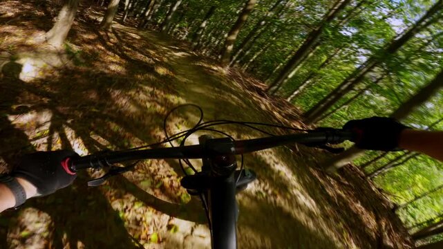 Mountain bike downhill ride on a forest path with scenic autumn nature view