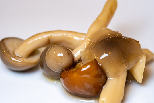 Macro photograph of simmered Japanese shimeji and wild mushrooms.